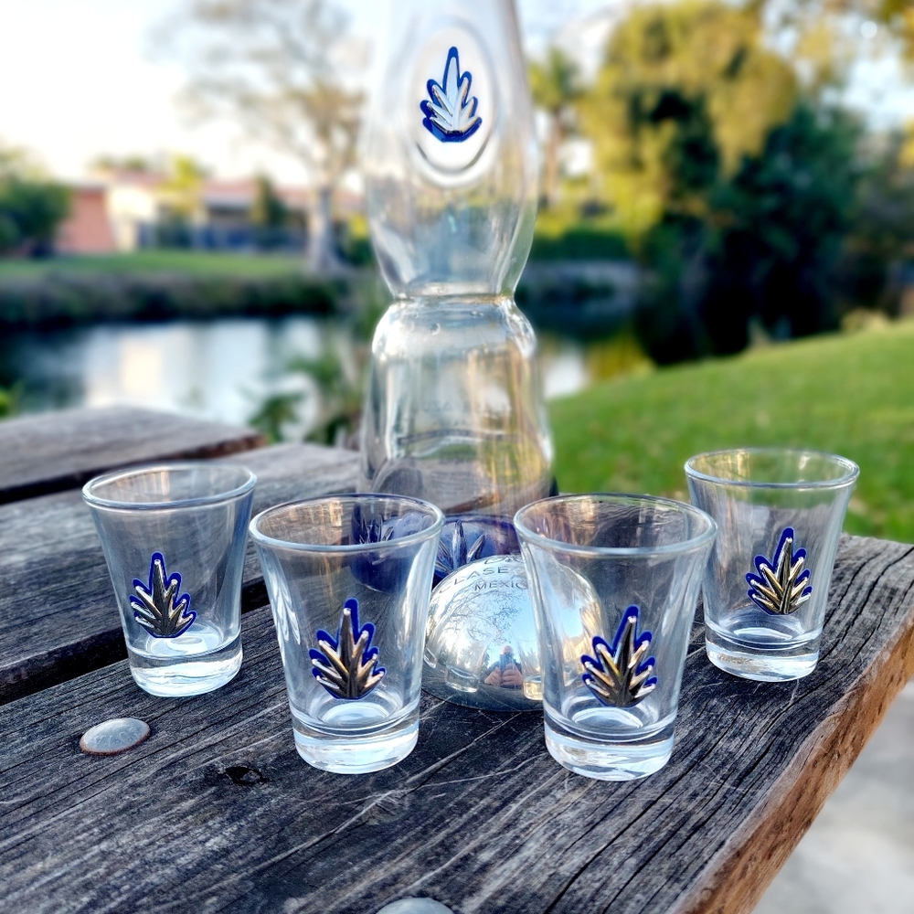 750ml Empty Tequila Bottle with 4 Matching Shot Glasses | Hand-Painted Decanter